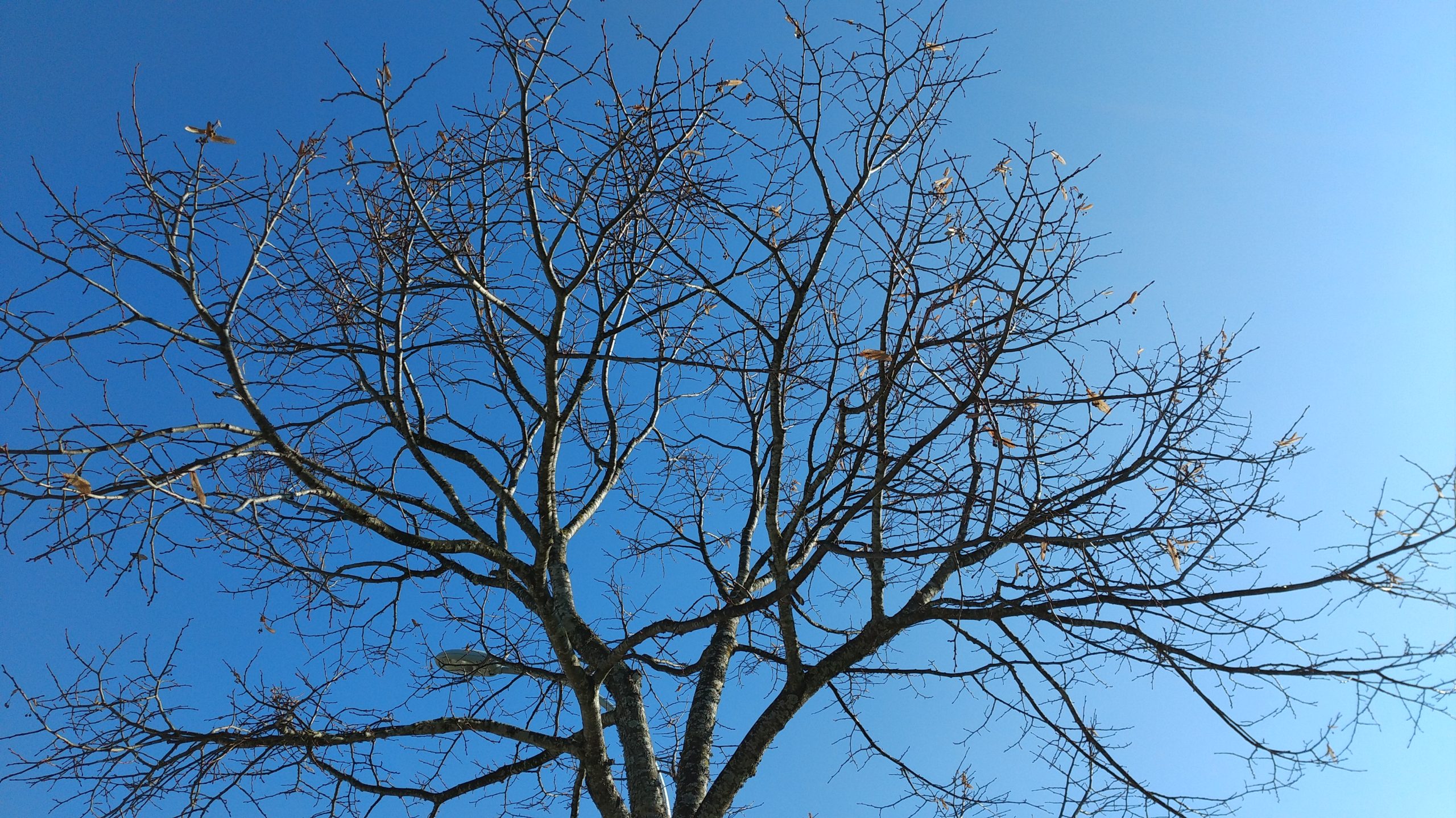 Análise Review HP Elite X3