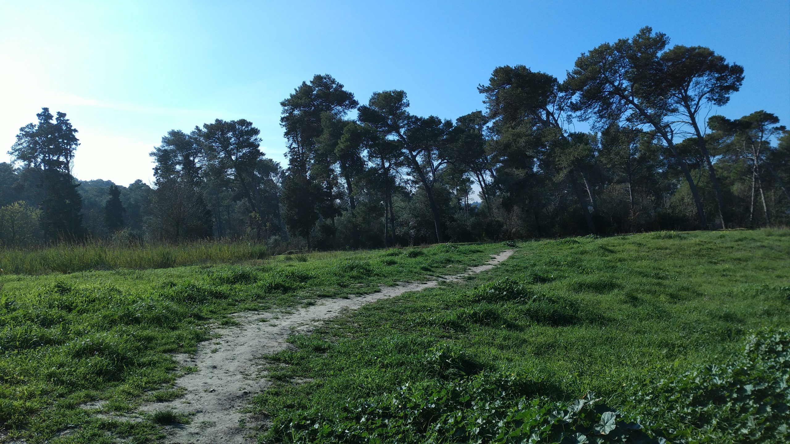 Análise Review HP Elite X3