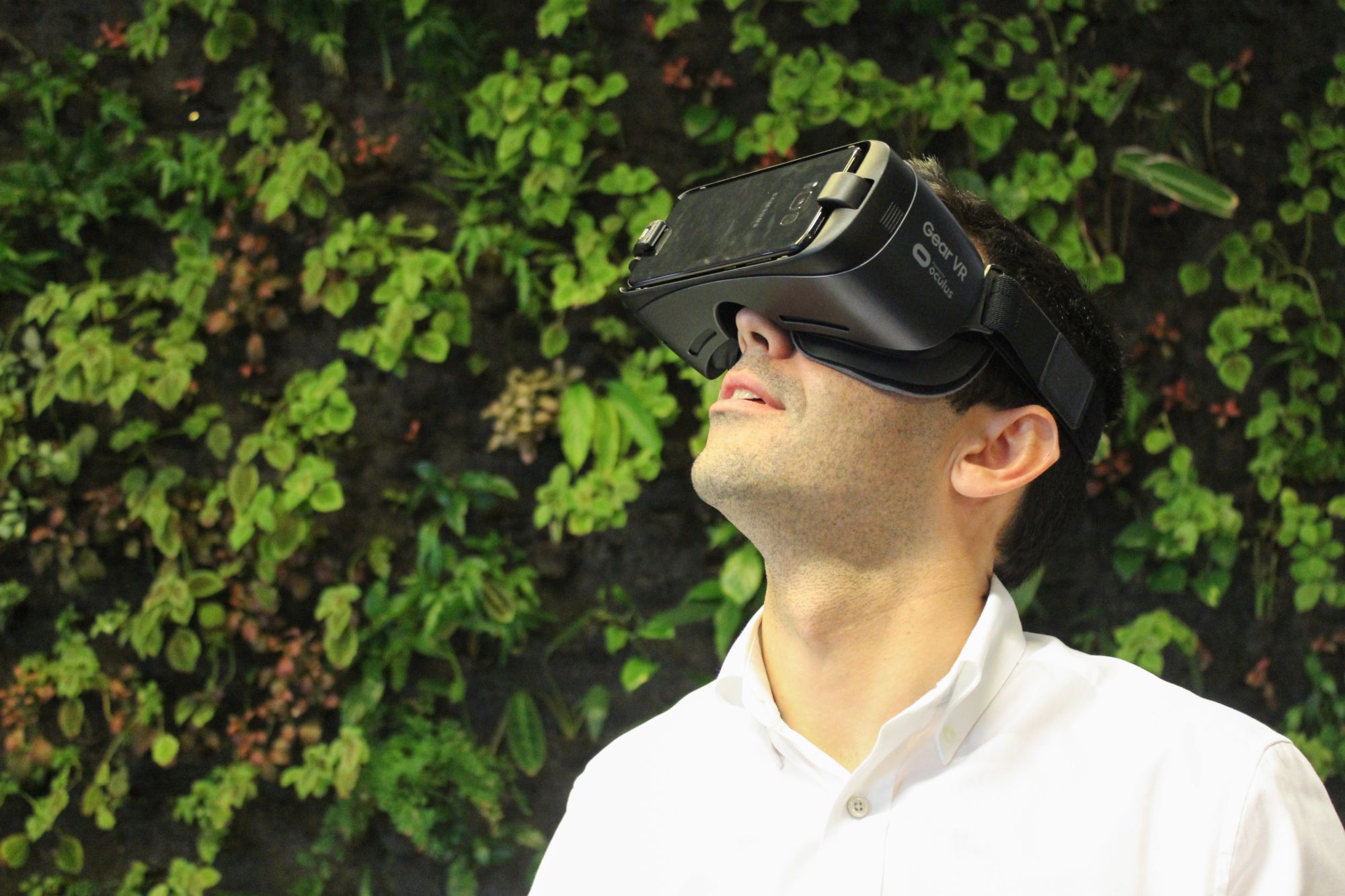MEO Go VR Realidade Virtual