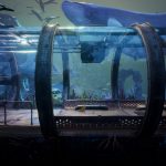 Switch AnotherSight 05