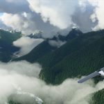 Microsoft Flight Simulator