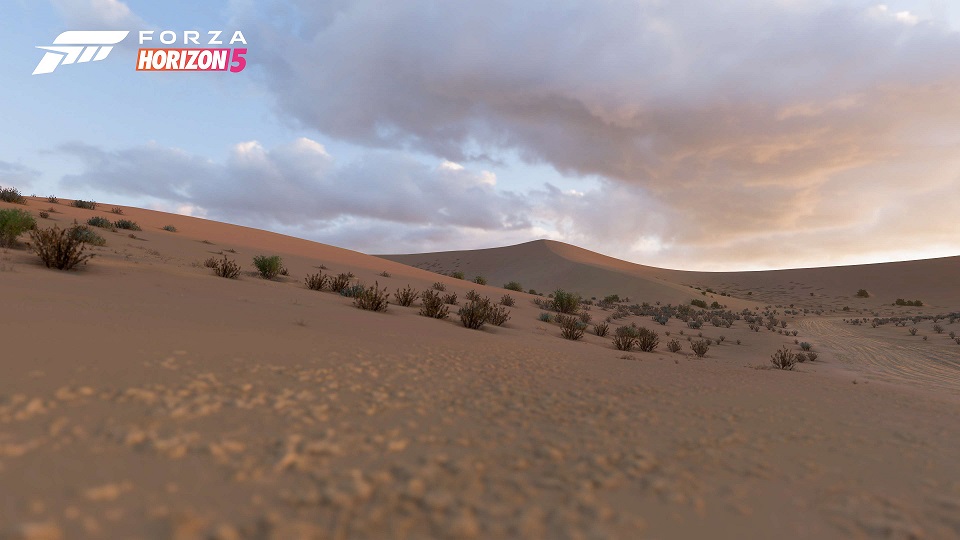 FH5 Biome Sand Desert 01