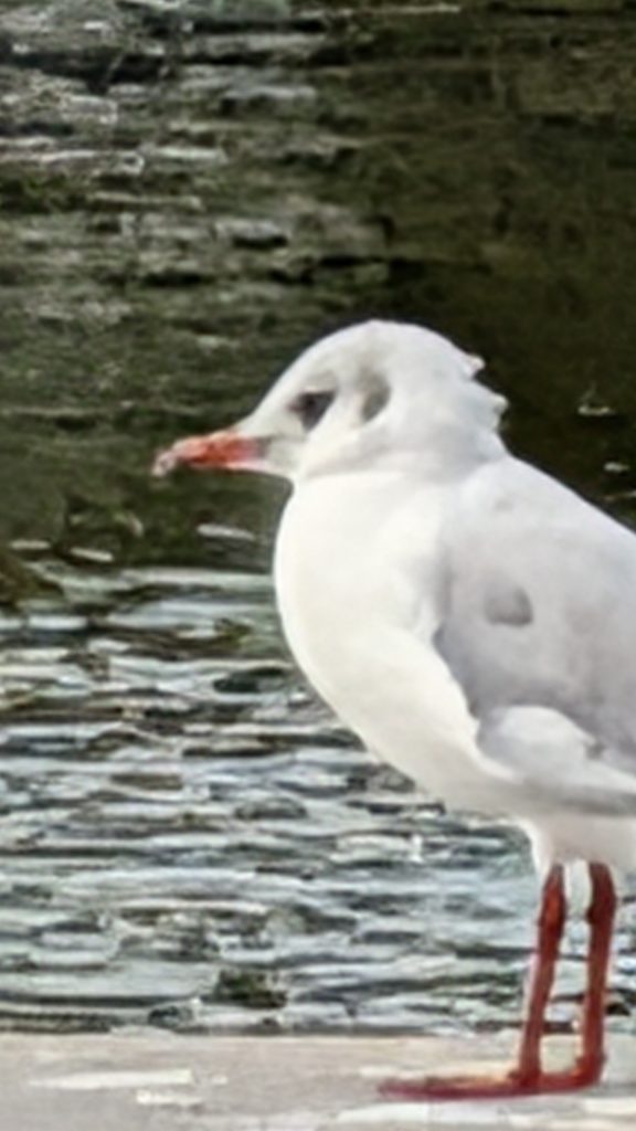 PXL 20250826 083908126.BURST 02.original