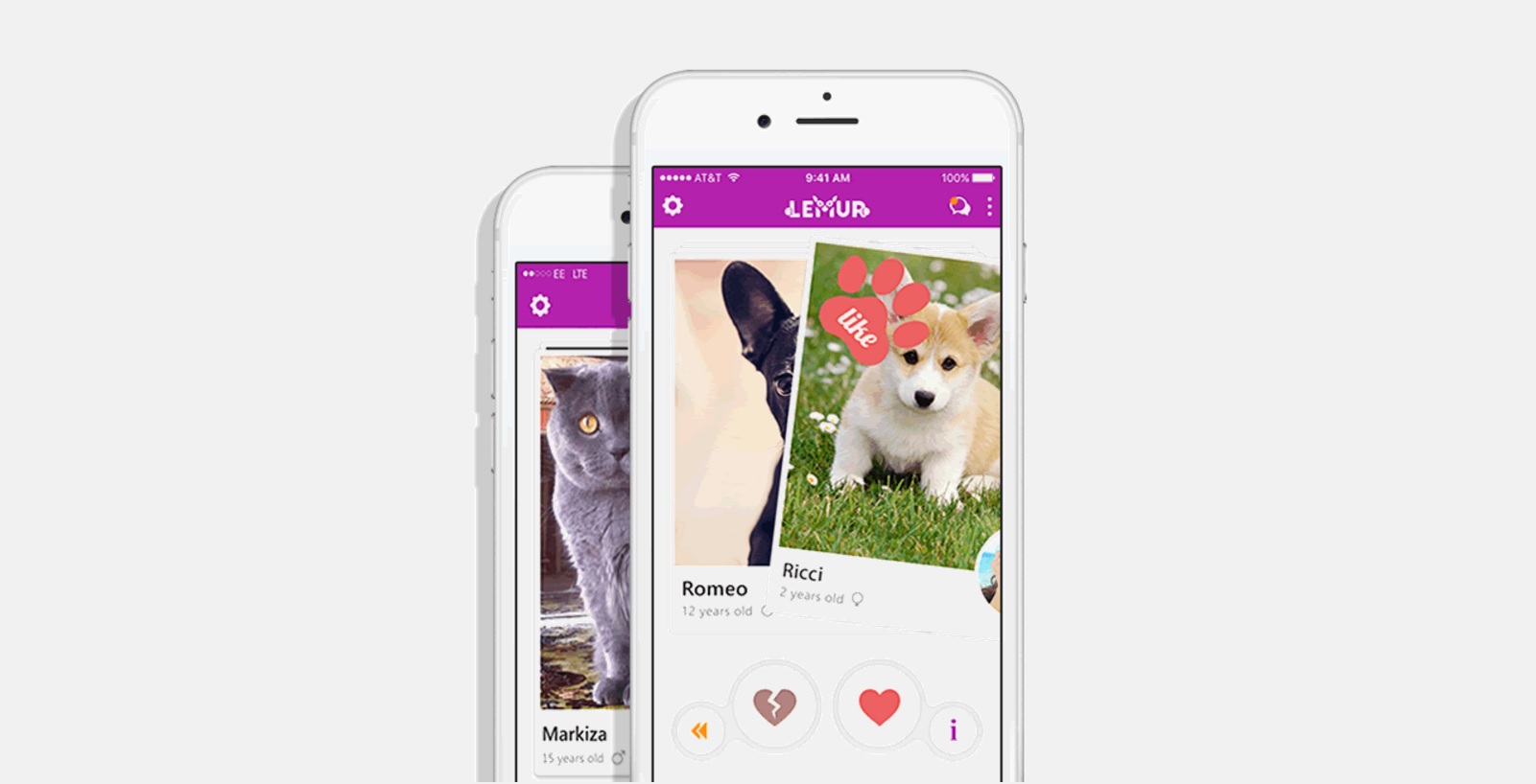 Lemur App