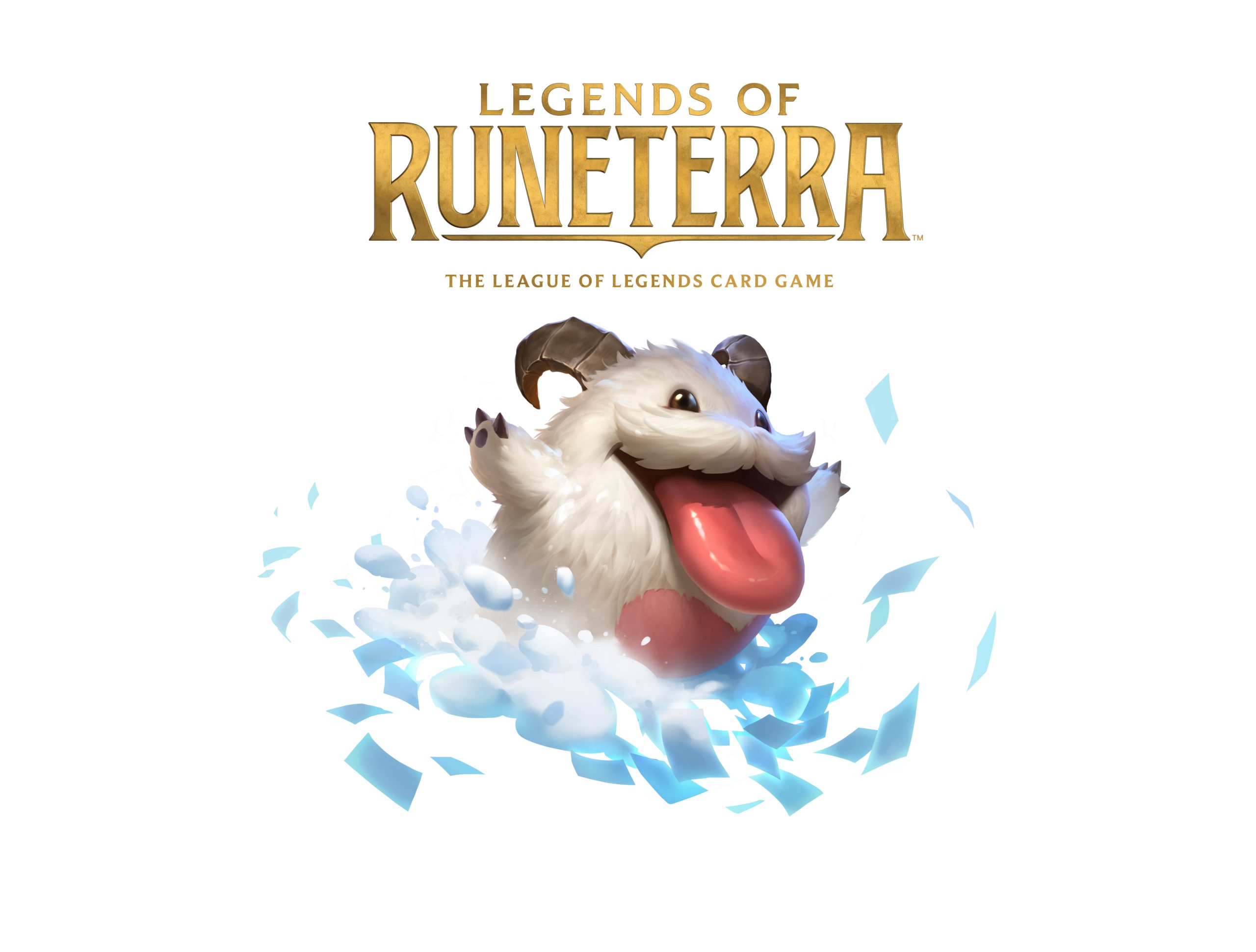 121719 Poro